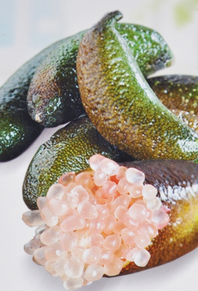 Australische Fingerlimette (Kaviar-Limette)