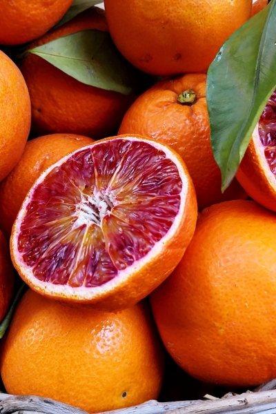 Orangenbaum (Blutorange) Tarocco Rosso aus Italien