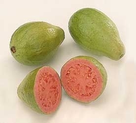 Echte Guave (Guayaba)