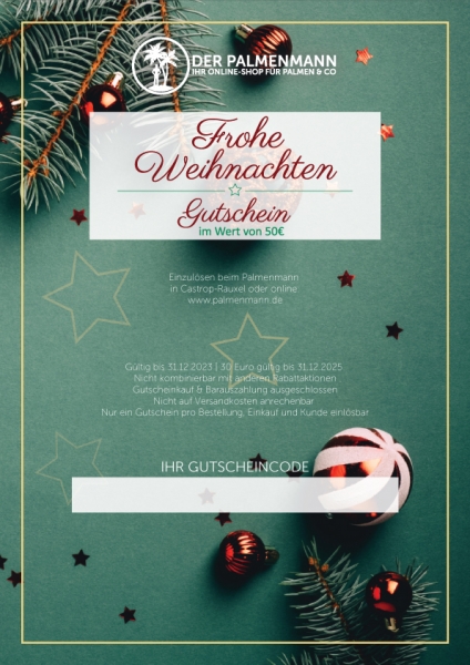 Weihnachtsgutschein 50für30 (PDF)