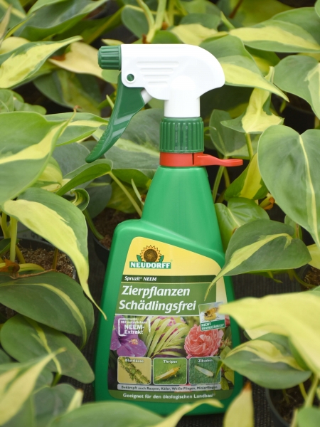 Spruzit NEEM ZierpflanzenSchädlingsfrei (450 ml)