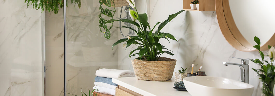 Pflanzen für das Badezimmer