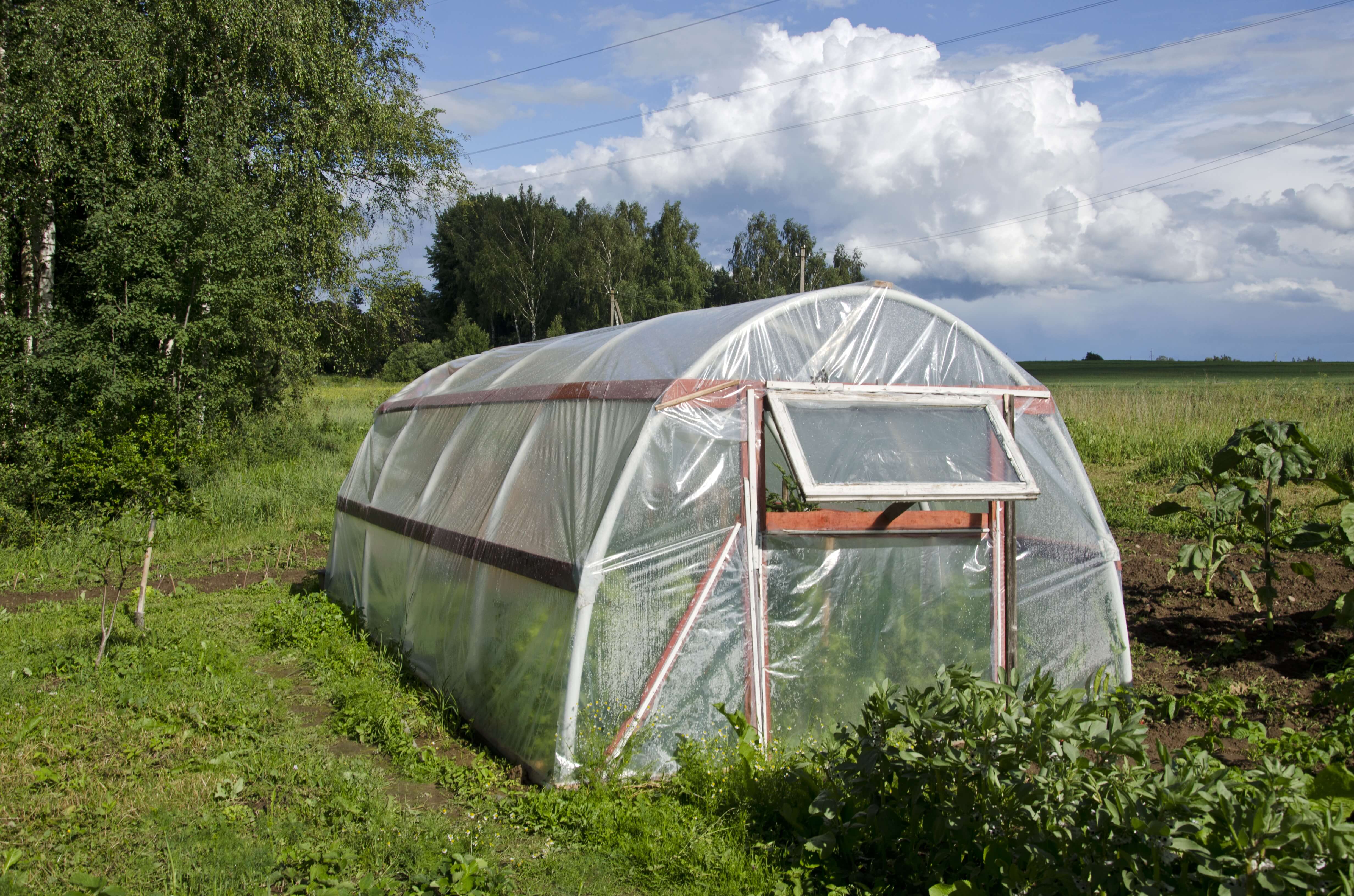 shutterstock_203578642_plastic-agriculture-greenhouse-hothouse-in-summer-farm-garden_Alis-Photo